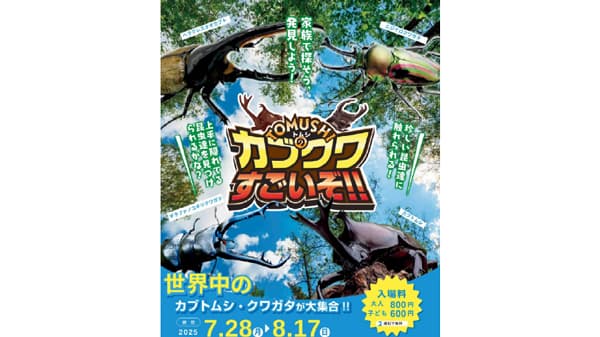 珍しいカブトムシやクワガタと触れ合うイベント　ドリームマッシュとTOMUSHIが大丸福岡天神店で開催　農林中金福岡支店が協力