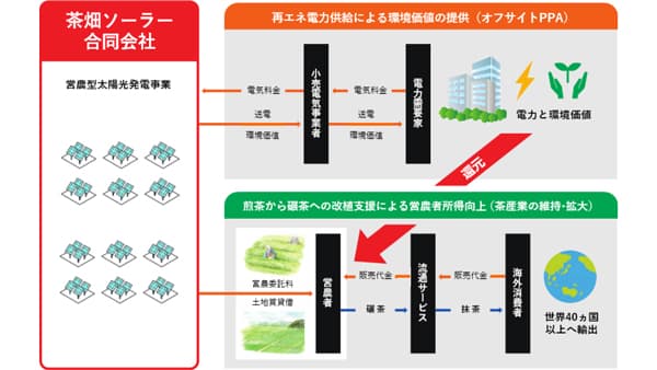 静岡の茶産業拡大へ　抹茶栽培農地における営農型太陽光発電所を共同開発　ＪＡ三井リース