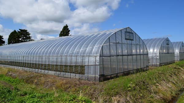 経営支え夢を応援　地域農業の発展、金融の力で　先進事例にみるＪＡ・信連の取り組み（上）