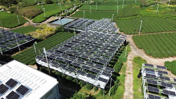 茶畑ソーラー営農型太陽光発電でバーチャルPPA契約　ＪＡ三井エナジーソリューションズ