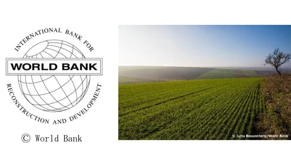 国際復興開発銀行発行「サステナブル・ディベロップメント・ボンド」に投資　ＪＡ共済連