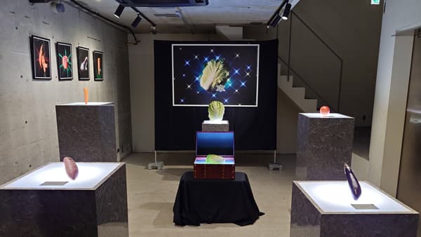 ＪＡ共済連が「隠レア野菜プロジェクト」に取り組む理由　食品ロス削減で地域貢献へ