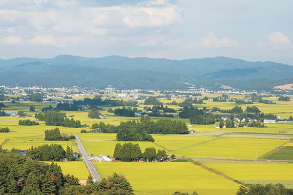 【クローズアップ・米生産の将来】コメ　過剰が続くか、不足になるか？