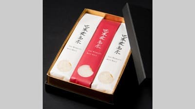 「世界最高米」事業　2023年の取り組み開始　東洋ライス