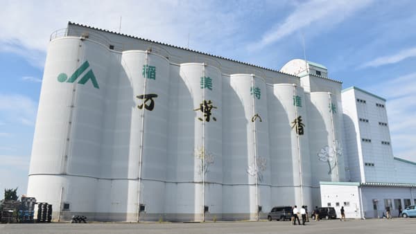 【現地ルポ　ＪＡ兵庫南・稲美ＣＥ】集荷推進　安定供給の要に　おいしく、安全管理心掛け（1）