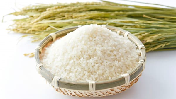 2週連続で価格上昇　スーパー米価5kg4204円　高止まり、いつまで