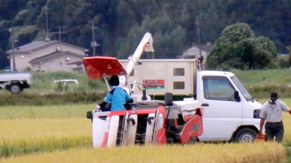 24年産米　9月末在庫は前年比49万トン減　集荷競争が激化