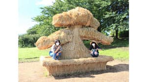 新米×わらアート「おにぎりフェス」8日に開催　新潟県観光協会