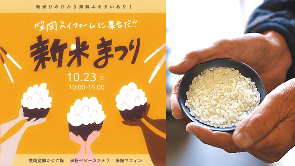 新米「ひのひかり」楽しむイベント　23日に開催　岡山県笠岡市