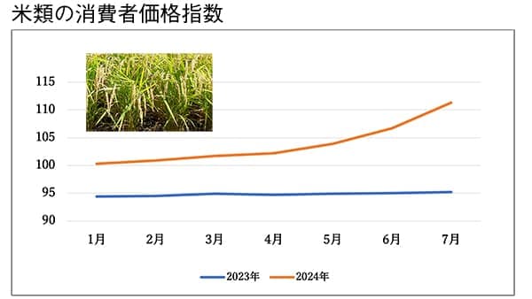 【緊急寄稿】「スーパーから米がない」を教訓に　「減田」やめ備蓄柔軟に　横浜国大名誉教授・田代洋一氏