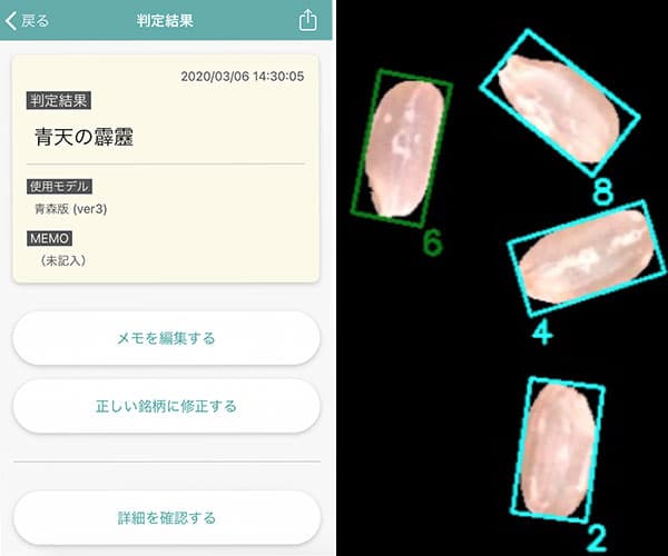 米の銘柄をAI搭載のアプリで判定「RiceTag」実証実験が成功