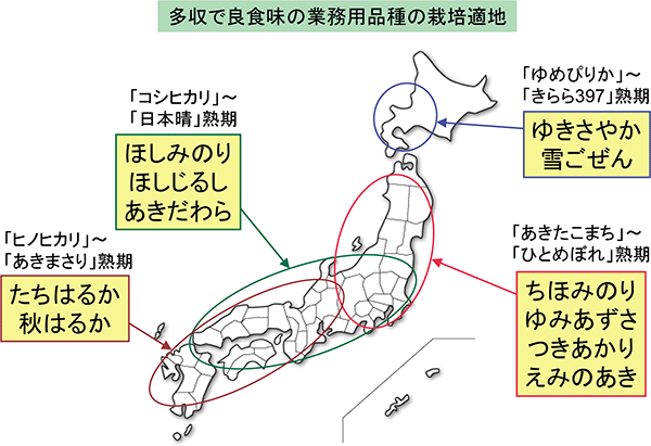 【多収米を考える（1）】 多収米とはどんな米
