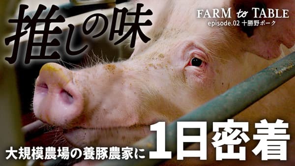 YouTubeチャンネル「FARM to TABLE－農場からはじまる物語－」開設　日清丸紅飼料