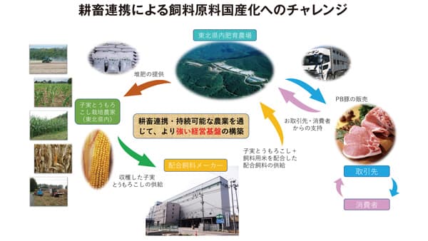 耕畜連携「国産子実とうもろこし」による飼料原料の国産化を推進　フリーデン