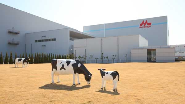 国内生産拠点で購入する電力　実質再生可能エネルギー由来に100％切り替え　森永乳業