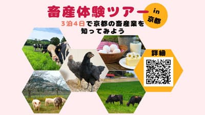 京都で畜産　3泊4日の体験ツアーを初開催　参加者募集