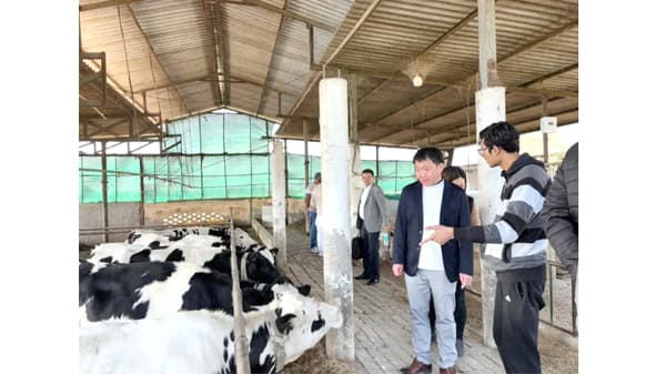 インド・アジアで畜産DX推進へ　U-motionでグローバルサウス支援　デザミス