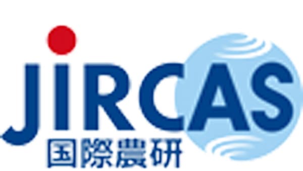 カギケノリ　配偶体を用いた海面養殖用種苗の生産技術を開発　国際農研