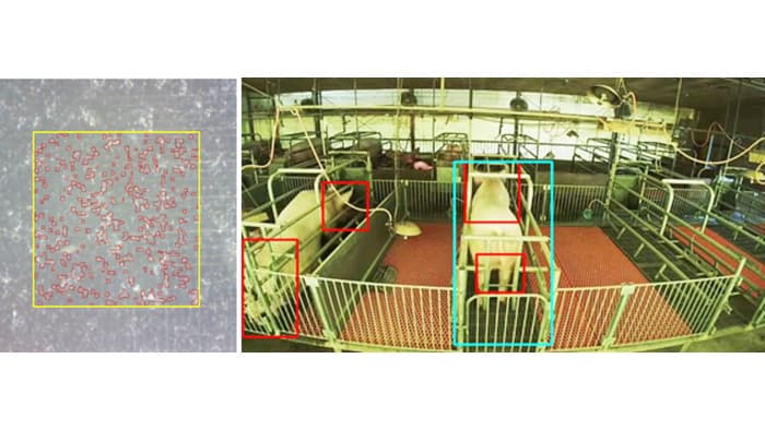 ＩｏＴデータ活用し持続可能な養豚繁殖モデルを実証　ユニアデックス
