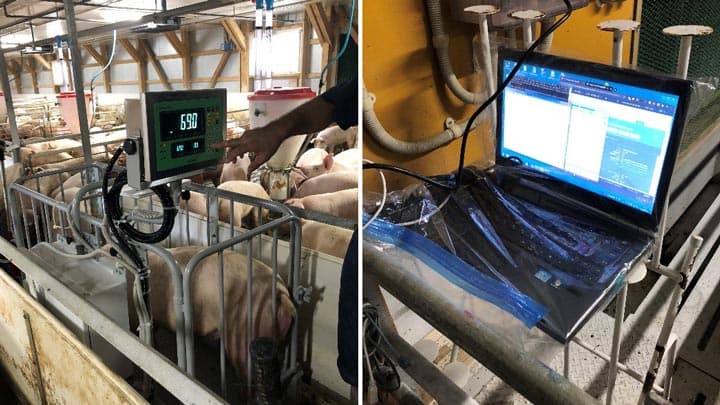 「スマート農業実証プロジェクト」トヨタの参画で加速化　Eco-Pork