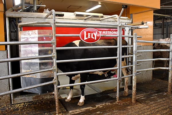 ＪＡ全農飼料畜産中央研究所笠間乳肉牛研究室　能力の高い牛をつくる技術を研究【ＪＡ全農の若い力】