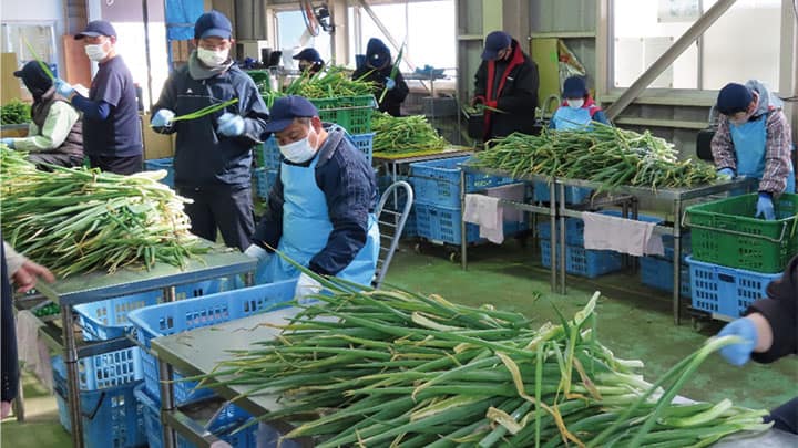 【特集：第66回ＪＡ全国女性大会】現地ルポ：農福連携　農を通じ生きがいづくり　地域活性化けん引　愛媛県西予市 「百姓百品グループ」