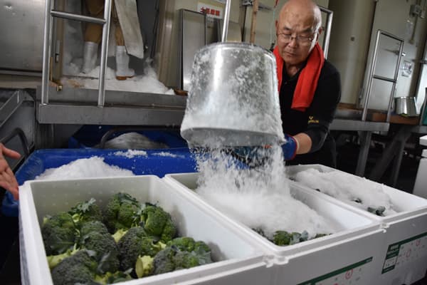 【ＪＡの挑戦】産地ブランド確立で所得向上を　ＪＡ鳥取中央「琴浦ブロッコリー」「発泡氷詰め」で品質向上を担保【第29回ＪＡ全国大会特集】