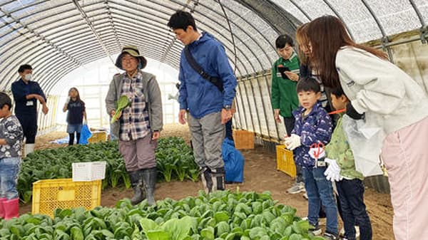 親子による富山県産「小松菜」の収穫体験を実施　ＪＡ全農とやま