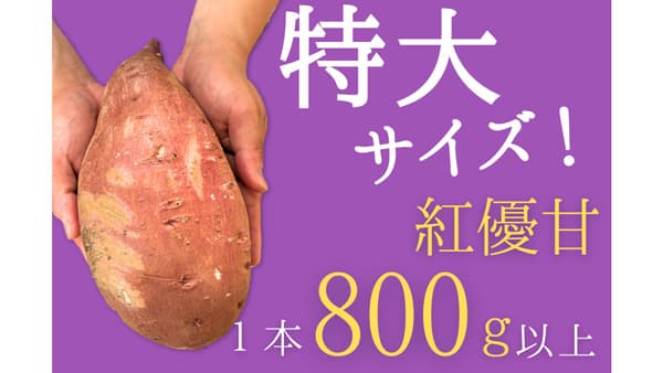 茨城県「いいものいっぱい広場」約200点を送料負担なしで販売中　ＪＡタウン