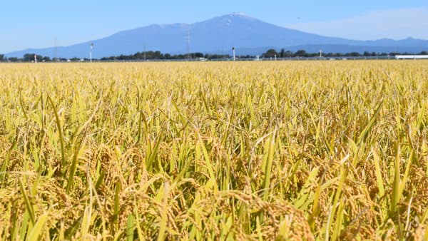 「よみがえれ農協」この半世紀に農協は何をしてきたのか　【ＪＡ全国大会傍聴記】