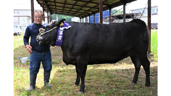 伊賀牛14頭が出品、最高値138万円で取引　第125回伊賀産肉牛共励会