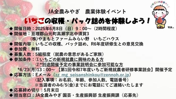 いちごの収穫・パック詰め体験イベント開催　新規就農者研修も募集へ　ＪＡ全農みやぎ