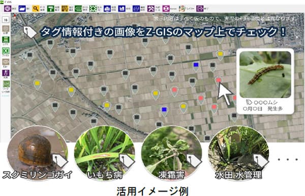 営農管理システム「Z－ＧＩＳ」と「レイミーのＡＩ病害虫雑草診断」アプリが4月に連携開始　地域全体を簡単把握、現場データ管理がより手軽に　ＪＡ全農と日本農薬（1）