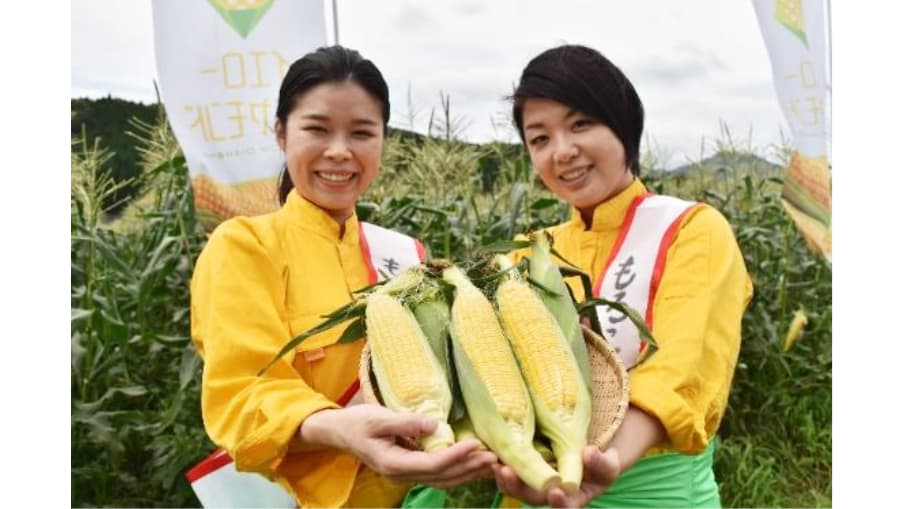 蒜山とうもろこしの宣伝強化　瀬戸内かきがらアグリ事業も開始　ＪＡ全農おかやま