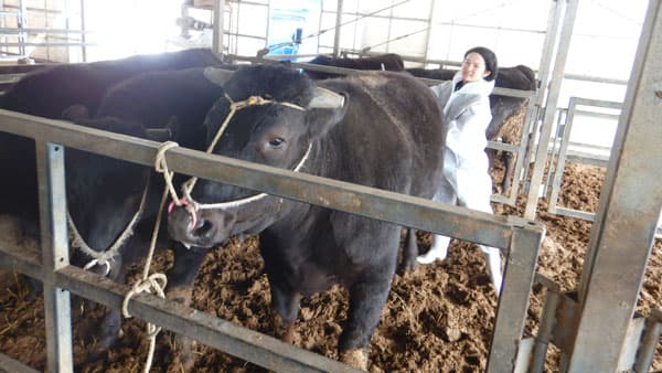 【ＪＡ全農の若い力】寄生虫、感染症...改善策に日夜奮闘　家畜衛生研究所（2）「提案力　系統の強み」獣医師・坂本梨果子さん