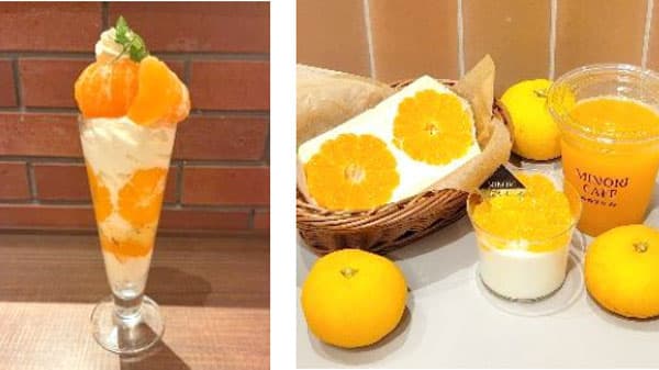 濃厚な甘さとフレッシュな果汁「国産温州みかんフェア」21日から開催　ＪＡ全農