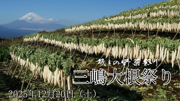 坂もの野菜祭り「三嶋大根祭り」20日に開催　ＪＡふじ伊豆