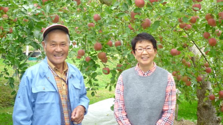 【花ひらく暮らしと地域―ＪＡ女性　四分の三世紀（9）】「わたし」に目覚める＜中＞家計簿記帳に挑んで