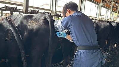 【ＪＡ全農の若い力】受精卵移植で所得向上の一翼に　全農ＥＴ研九州分場（2）受胎率上げ現場貢献　小山 英剛さん