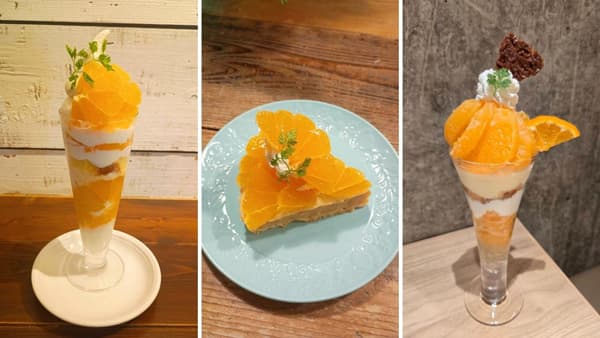 鹿児島生まれの極上柑橘「鹿児島県産大将季フェア」23日から開催　ＪＡ全農