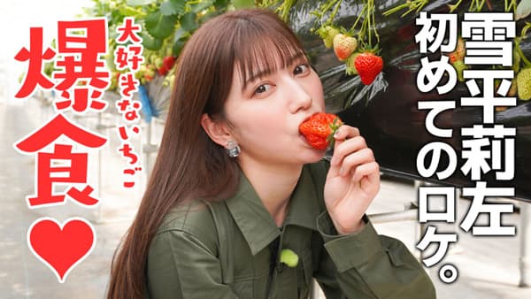 雪平莉左の「ゆるふわたいむ」新潟のいちご「越後姫」栽培農家を訪問　ＪＡタウン