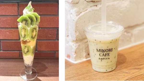 爽やかな甘酸っぱさが人気「国産キウイフルーツフェア」9日から開催　ＪＡ全農