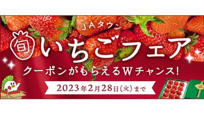 今が旬　人気のいちごが勢揃い「ＪＡタウン」でいちごフェア開催中