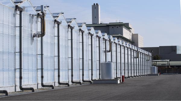 「ゆめファーム全農」による営農実証　先端施設で高収益【ＪＡ全農創立50年】