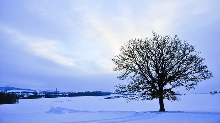 『不動の心』を友に示し