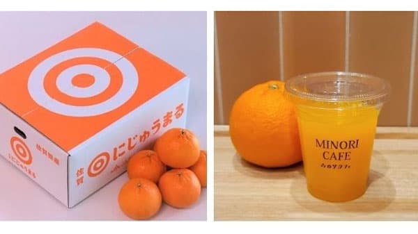 佐賀県が誇るブランド柑橘「佐賀県産にじゅうまるフェア」開催　ＪＡ全農