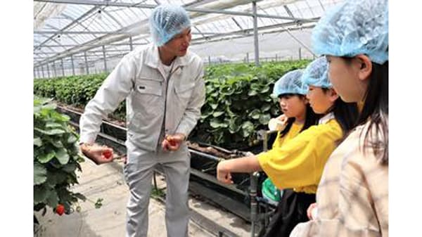 子どもたちが「ぎふ清流ＧＡＰ」認証イチゴの収穫を体験　ＪＡ全農岐阜