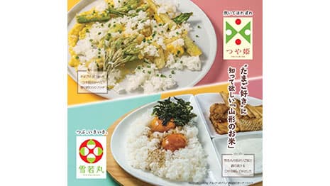 プロ考案の県産米オリジナルレシピを公開　ＪＡ全農山形