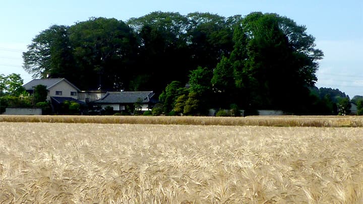 【ＪＡ女性協70周年記念　花ひらく暮らしと地域――ＪＡ女性　四分の三世紀（2）】貧しさからの解放＜中＞自立の原点に立ち返れ　文芸アナリスト・大金義昭