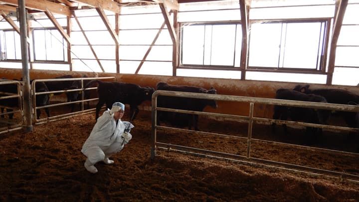 家畜衛生研究所クリニックセンター　平谷寛樹さん　家畜疾病予防に全力投球【ＪＡ全農の若い力】